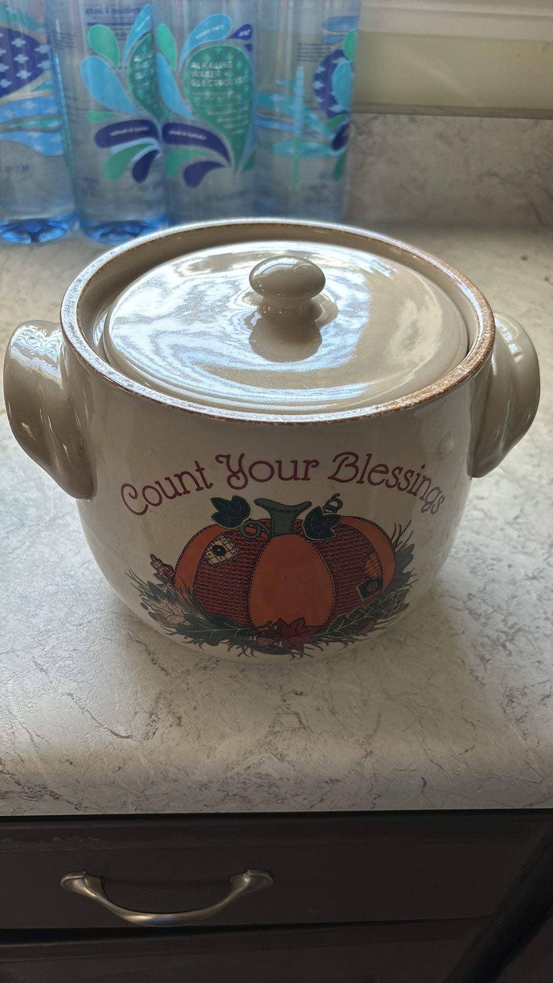 Home & Garden Party bakeware