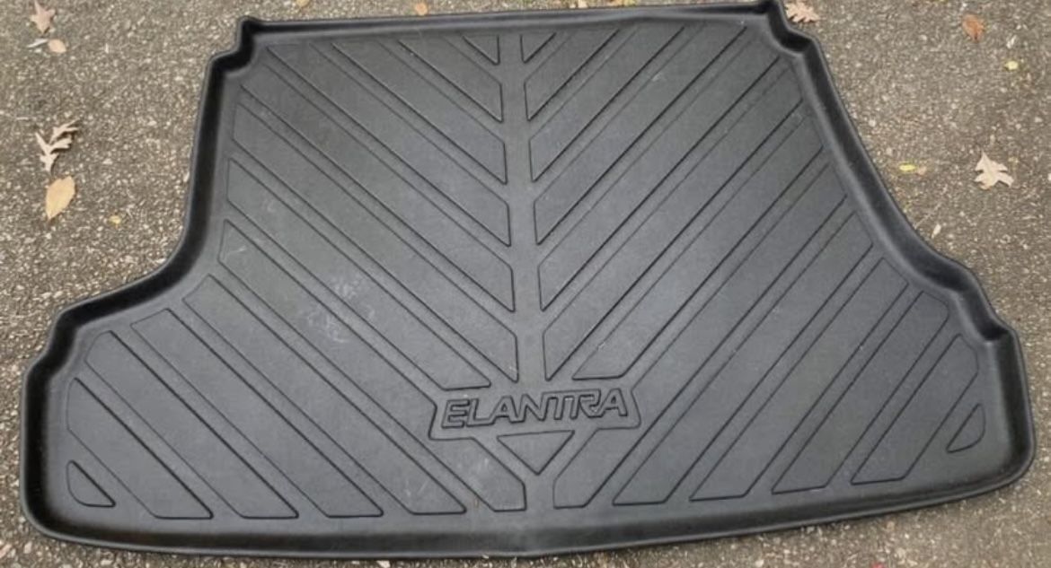 Hyundai Elantra Water Mat Protector