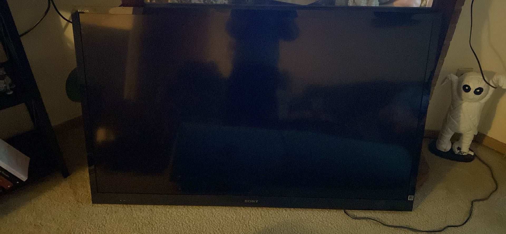 60 Inch Sony Bravia