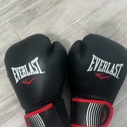Everlast Boxing Gloves