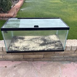 50 Gallon Fish Tank