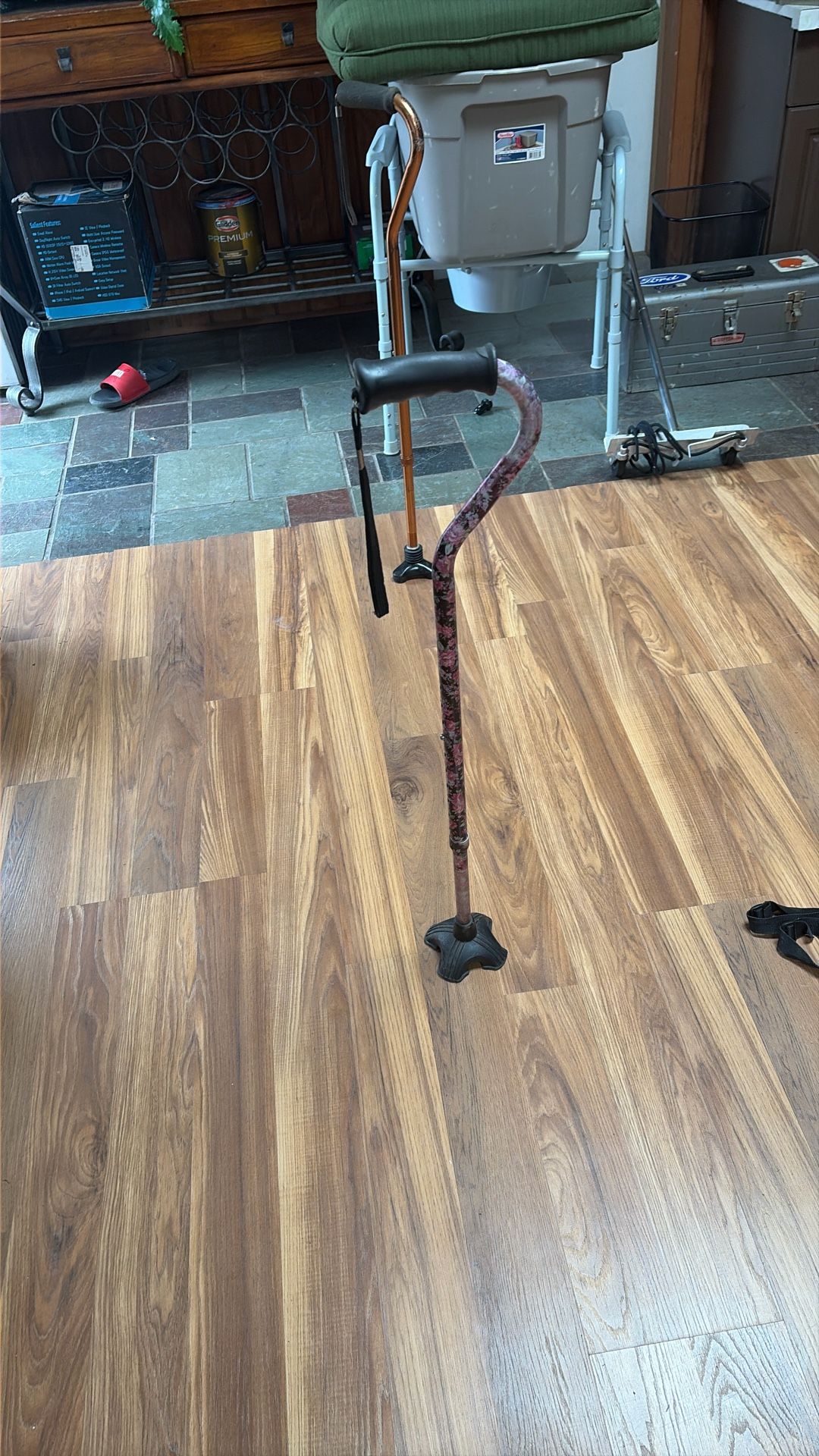 Walking Cane