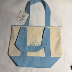 Trader Joe’s mini tote with zipper