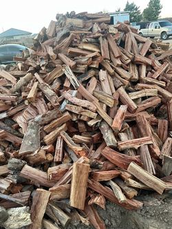 Eucalyptus firewood 🪵