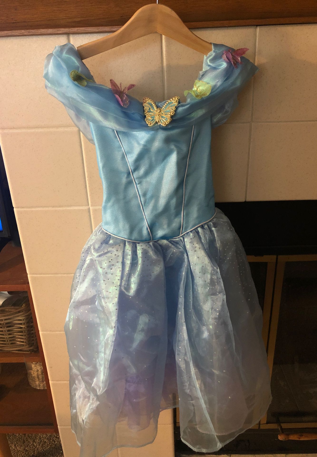 Disney Cinderella costume dress