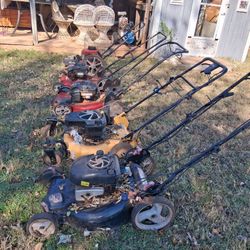 Lots Of Mowers 