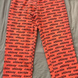 Cactus Flea Market Stussy Pants 