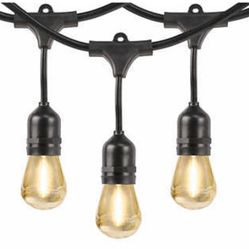 Feit Electric 48' LED Filament String Light Set Black