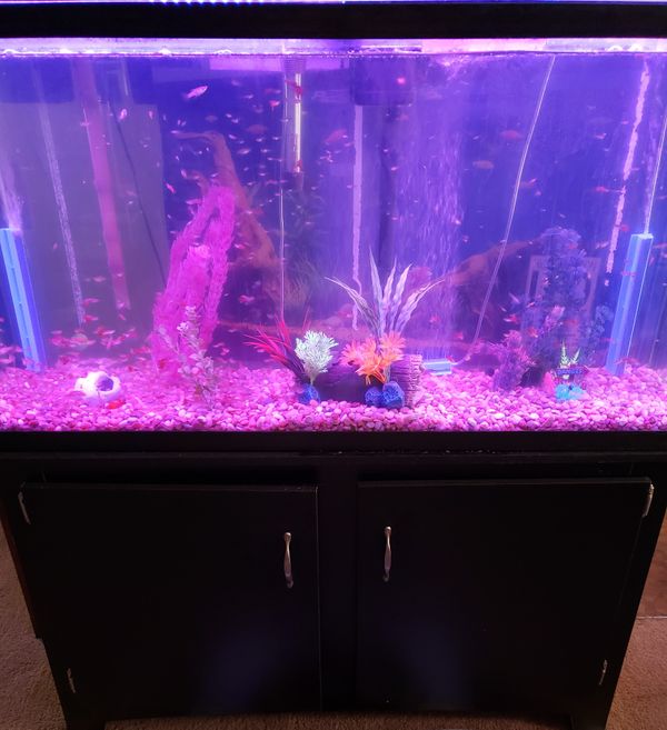 New And Used Fish Tanks For Sale In Wichita Ks Offerup fish tanks for sale in wichita ks