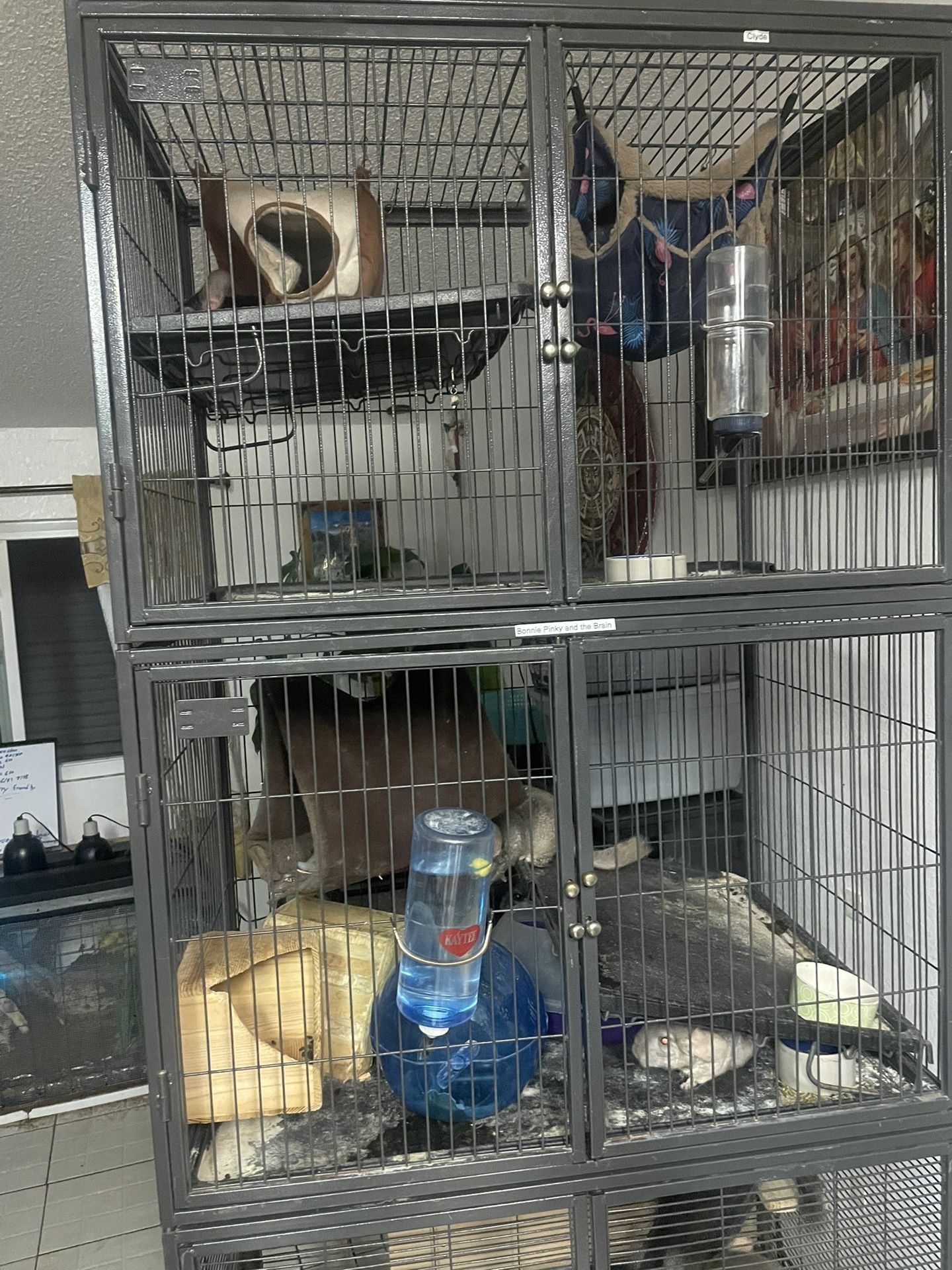 Jaula Para Chinchilla 
