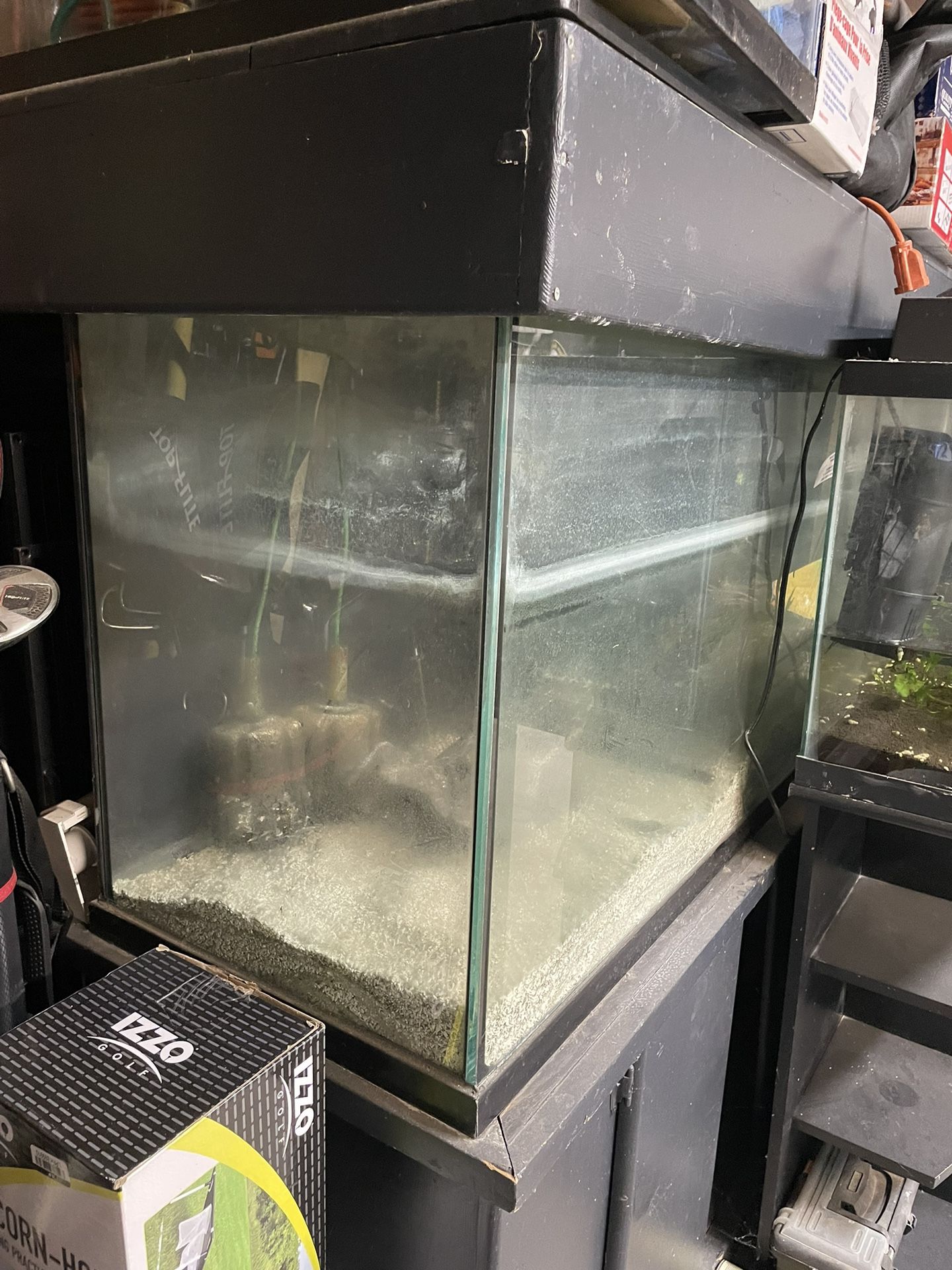Very Large Fish Tank