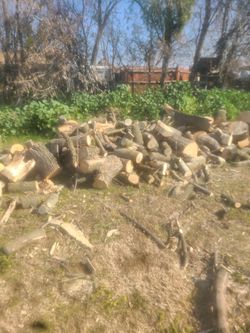 Fire Wood