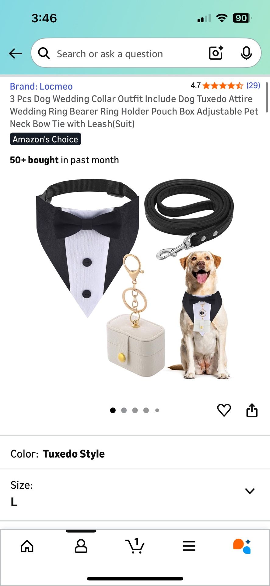 Dog Ring Bearer Set