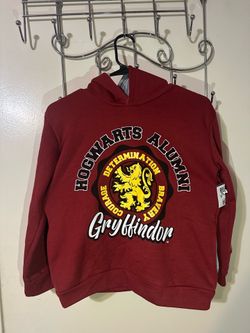 Harry Potter Gryffindor Little Boys Fleece Pullover Hoodie Little Kid to Big