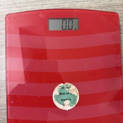 Body Weight Scale