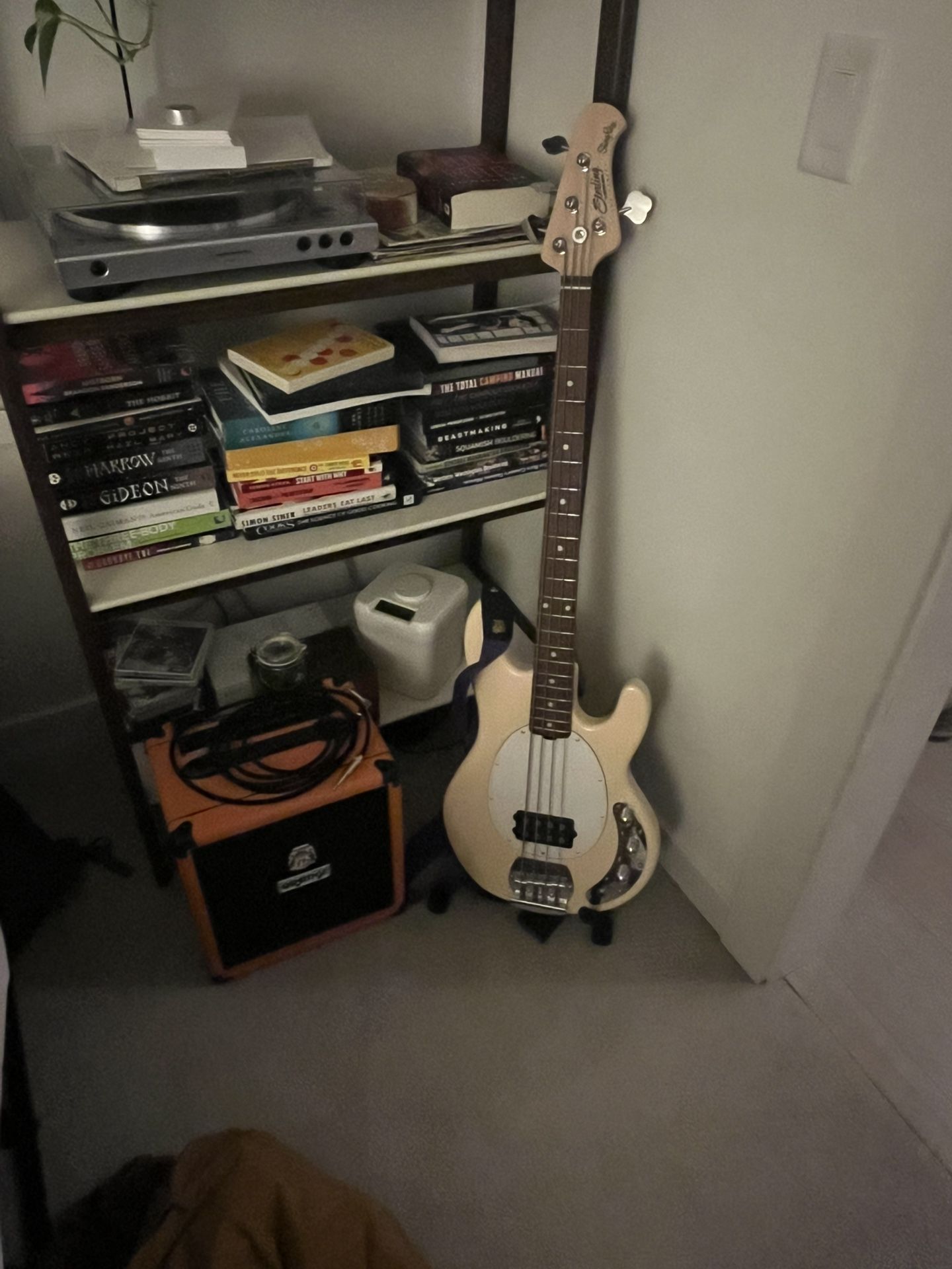 Bass And Amp Combo, Beginner/intermediate Set