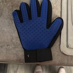 Fur Brushing Glove 