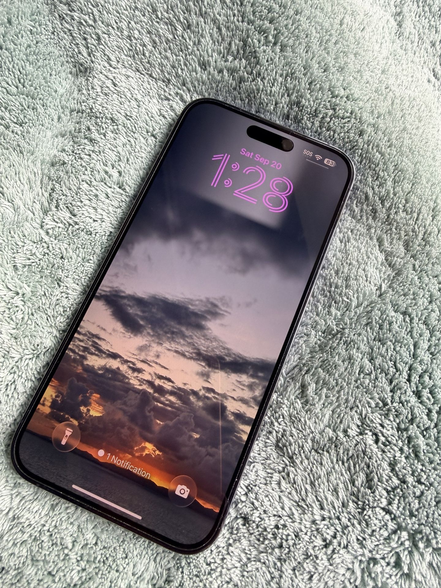 iPhone 14 Pro Max