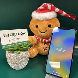 Holiday Sale - iPhone 12 Pro Max Unlocked 256GB Blue