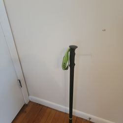 Walking Cane