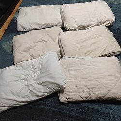 6 Pillows 