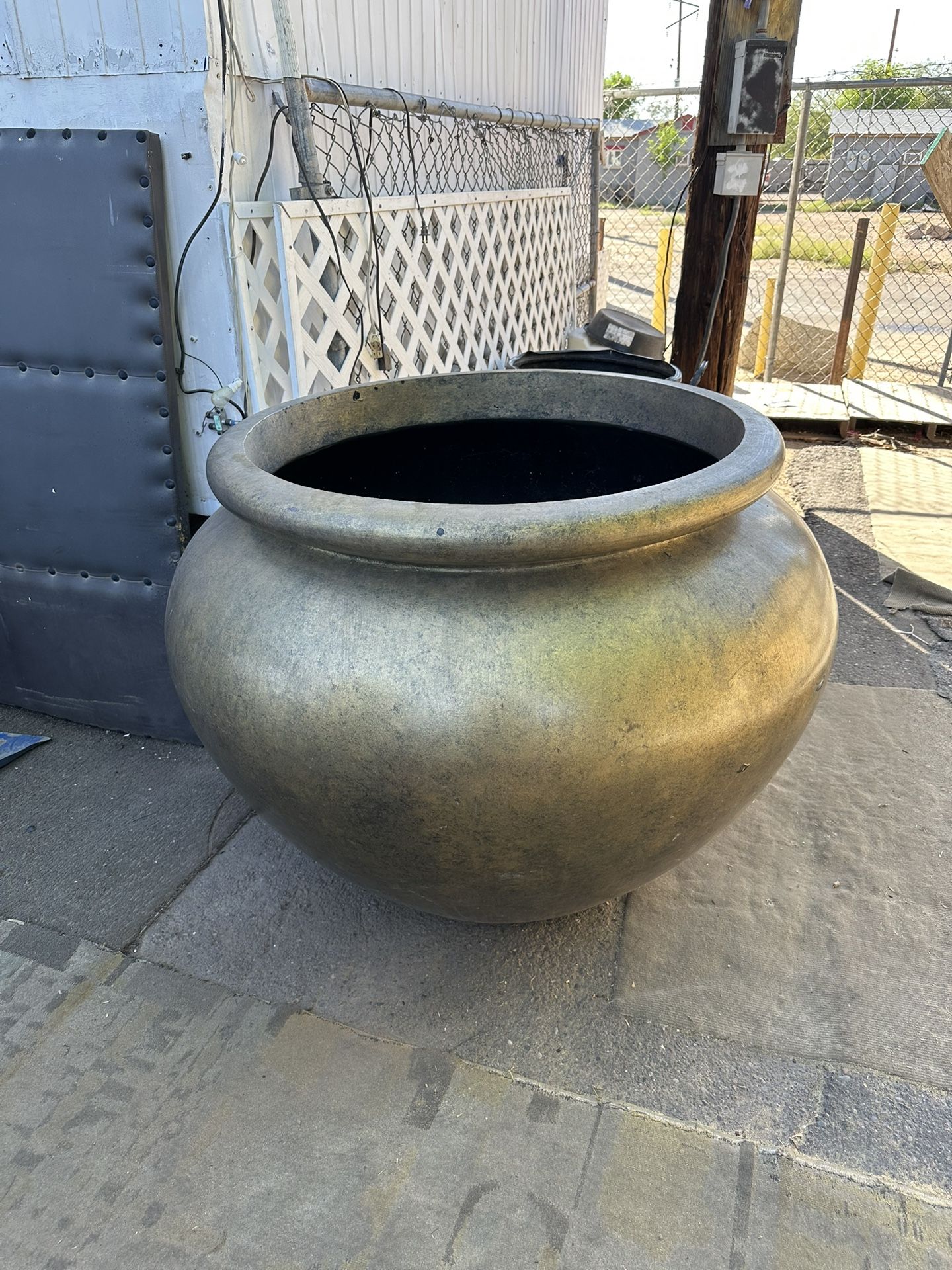 Big pot plant for sale