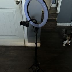 LED ring light