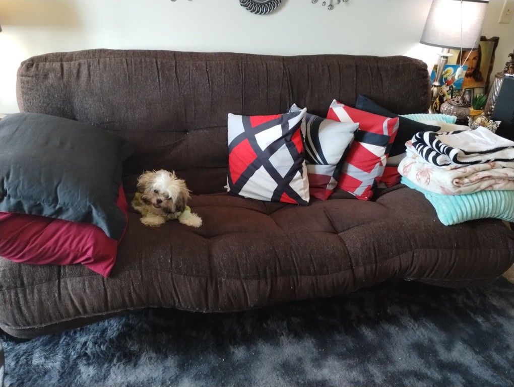 The Futon Bed Is For Free When U Buy The Sofa Futon For 50 Dollars