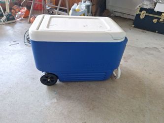 Igloo cooler