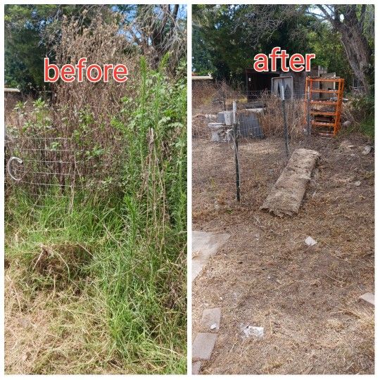 Clean UPS And Palm Tree Trimming