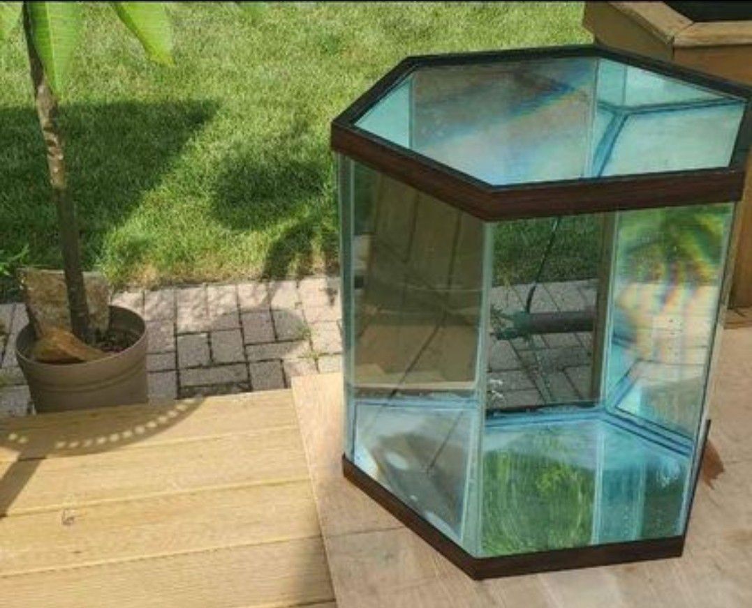 50 gallon hexagon Aquarium