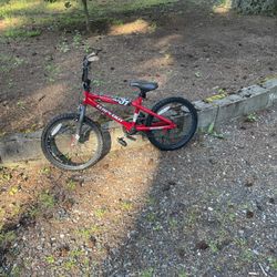 Bmx 20”  Boy Bike $50