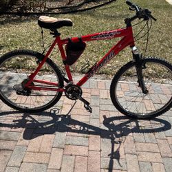 Specialized  Mountain Bike