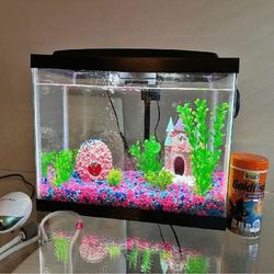 allow court All-Inclusive Aquarium Kit Dive into a World of Aquatic Wonders
