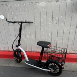 Electric Scooter