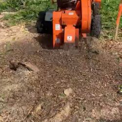 Stump Grind