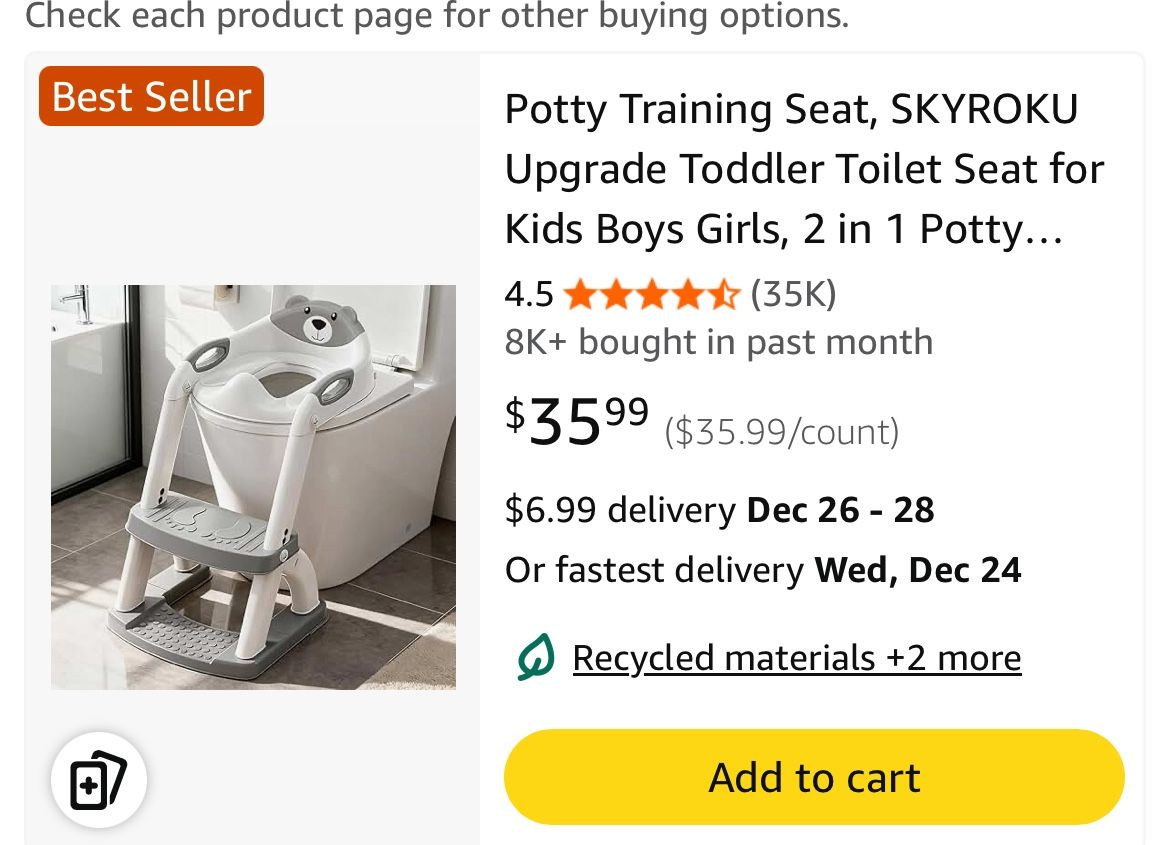 Potty Training Seat With Ladder
