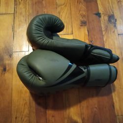 Sparring Gloves 