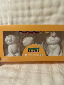 Pets Ceramic Paint kit