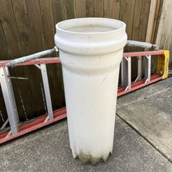 Geoduck Tube - 12 Inches