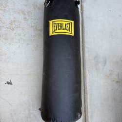 Everlast Stand With 80 Pounds Punching Bag