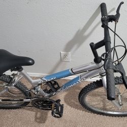 Girls Roadmaster 24 inch mountain bike 