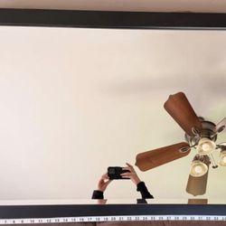 Black Mahogany Mirror 47”x27”