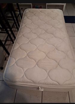Free Twin mattress and box spring