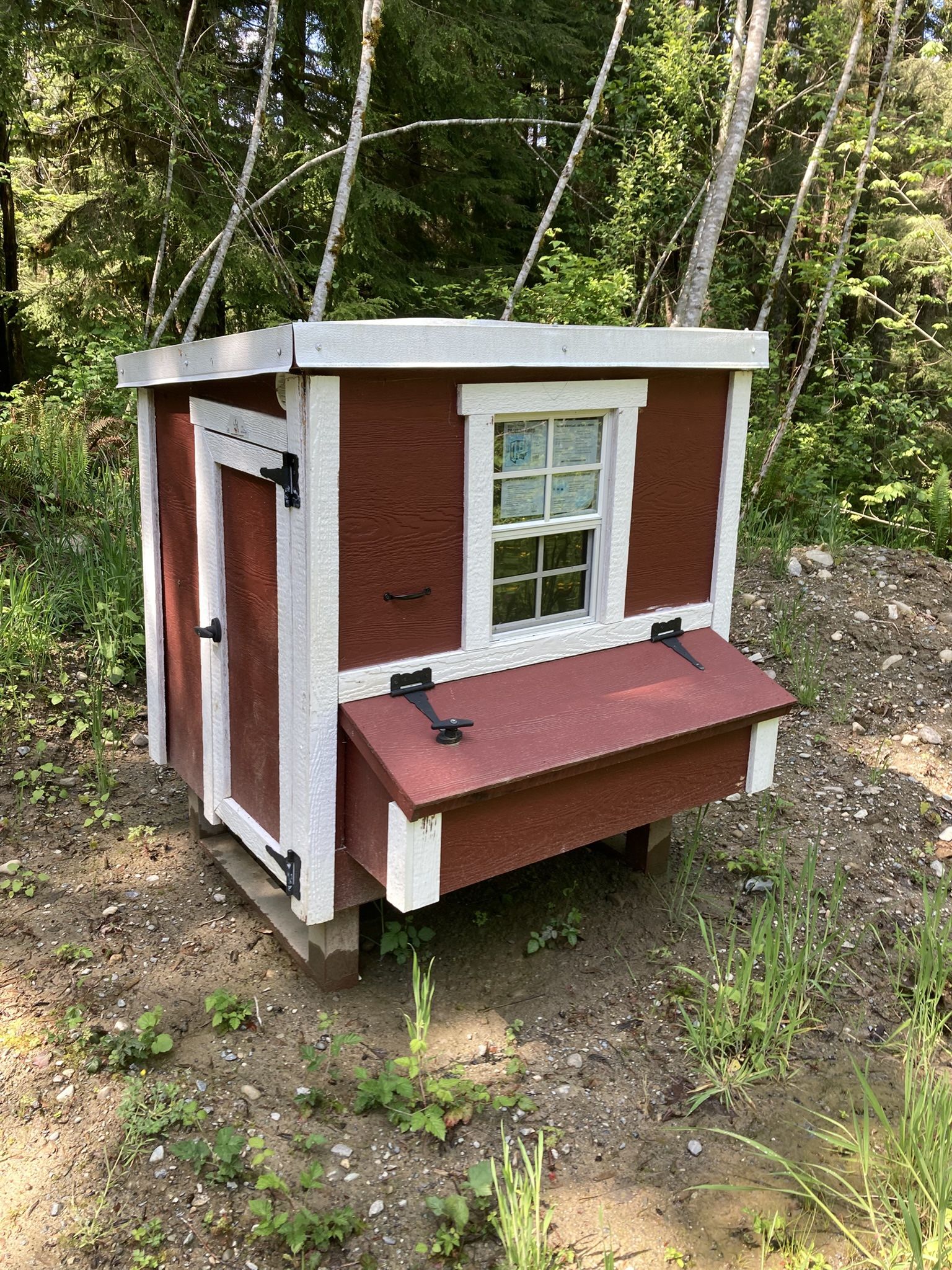 Chicken Coop