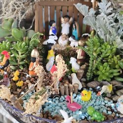 Nativity Scene With Natural Succulents 