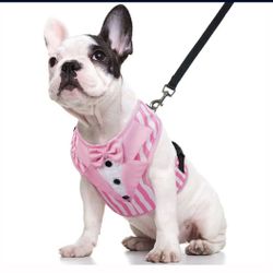 Pink Dog Tuxedo Harness Size: M