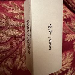 Raybans Meta Glasses 