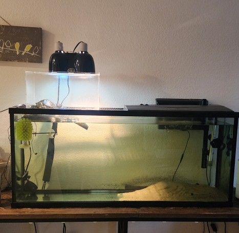 Turtle Tank 55 Gallon