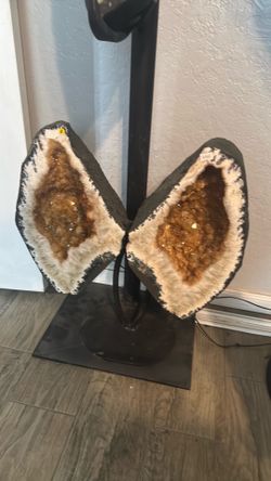 Citrine wings